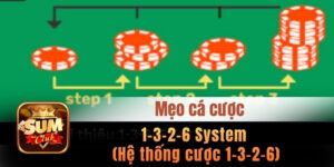 1-3-2-6 System (Hệ thống cược 1-3-2-6) – Chiến lược đi theo chuỗi