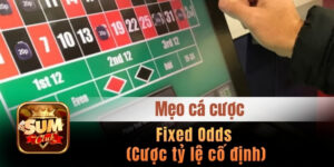 Fixed Odds (Cược tỷ lệ cố định) – Nghệ thuật kiểm soát rủi ro và ứng dụng thực chiến