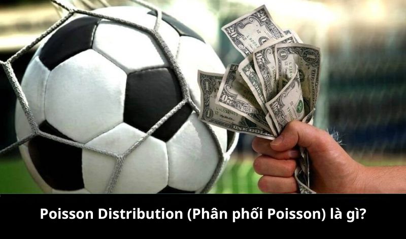 Poisson Distribution (Phân phối Poisson) là gì?
