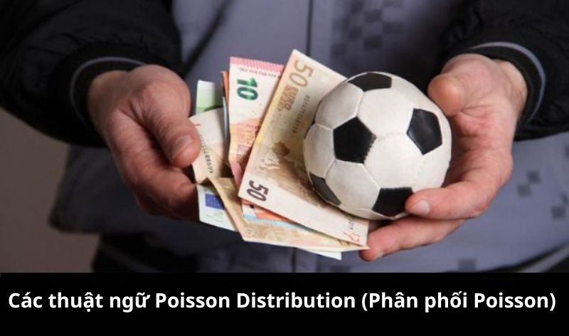 Các thuật ngữ Poisson Distribution (Phân phối Poisson)