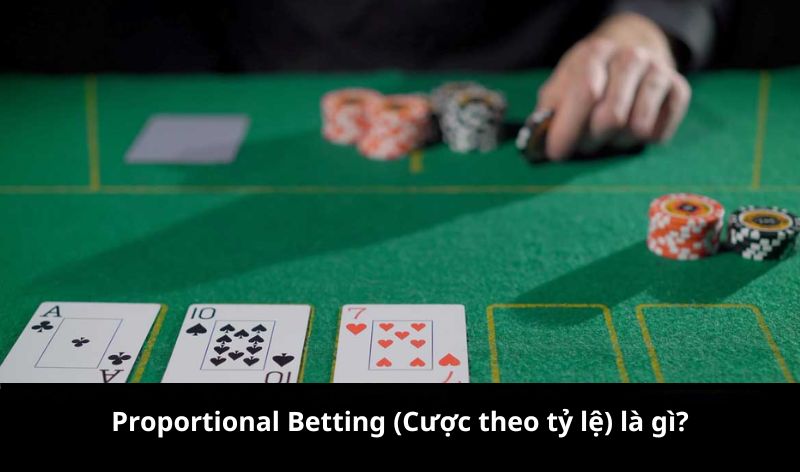 Proportional Betting (Cược theo tỷ lệ) là gì?