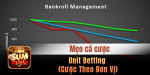 Unit Betting (Cược Theo Đơn Vị) - Mẹo cá cược tăng số dư tài khoản cực đỉnh