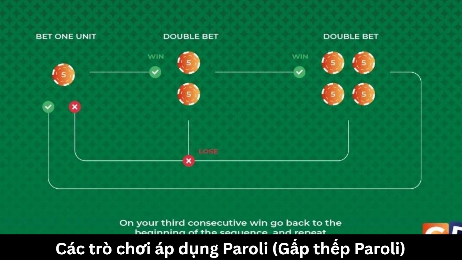 Thuật ngữ quan trọng trong Paroli (Gấp thếp Paroli)