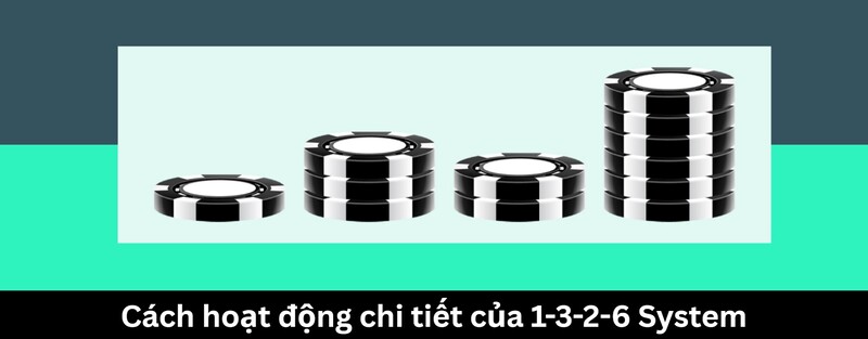 Cách hoạt động chi tiết của hệ thống 1-3-2-6
