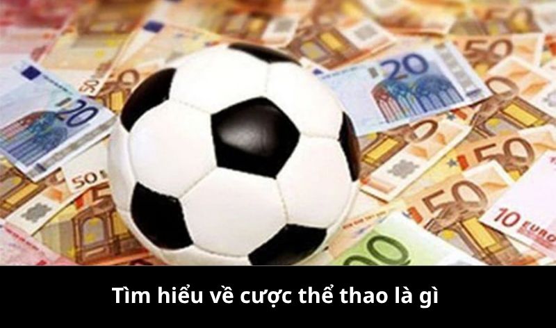Khía niệm về cược thể thao là gì?