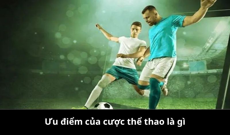 Ưu điểm của cược thể thao là gì?