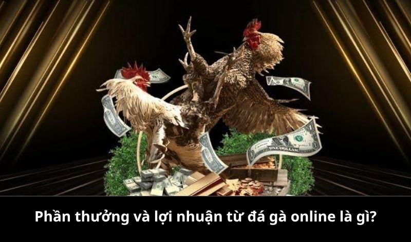 Phần thưởng và lợi nhuận từ đá gà online là gì?