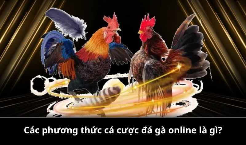 Các phương thức cá cược đá gà online là gì?