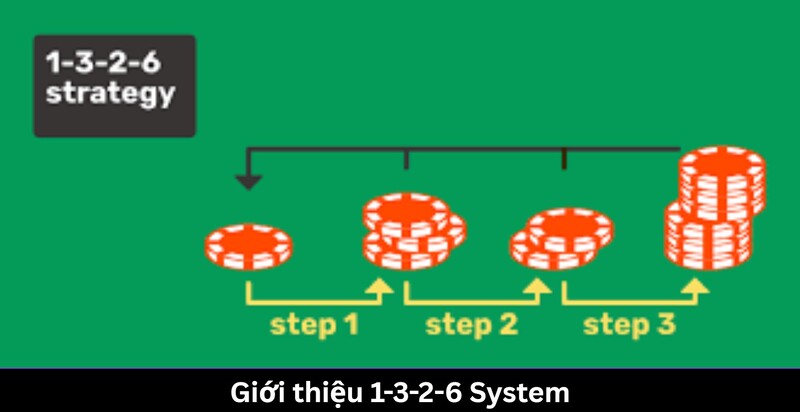 1-3-2-6 System là gì?