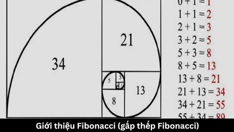 Fibonacci (gấp thếp Fibonacci) là gì?