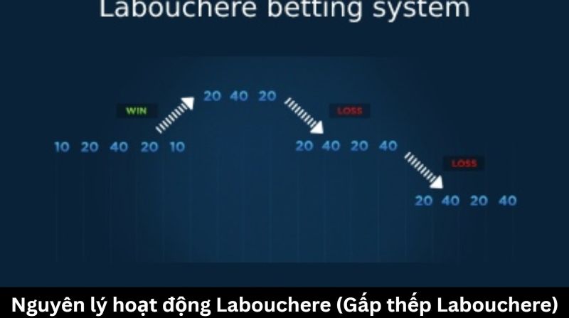 Nguyên lý hoạt động của gấp thếp Labouchere
