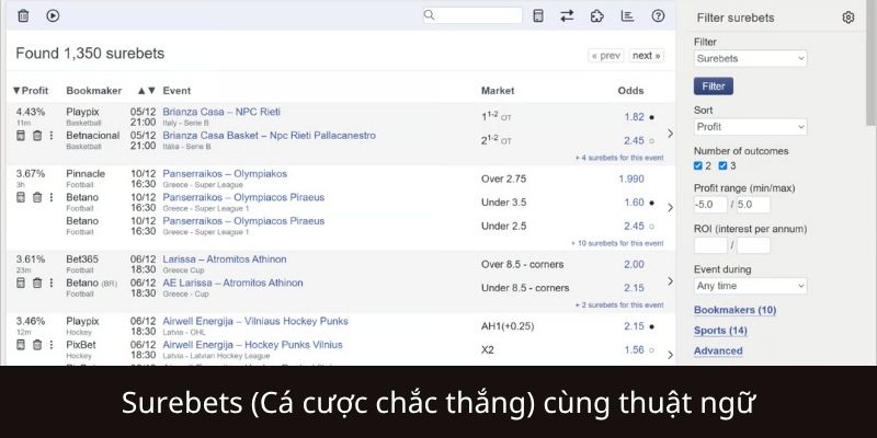 Các thuật ngữ quan trọng trong Surebet