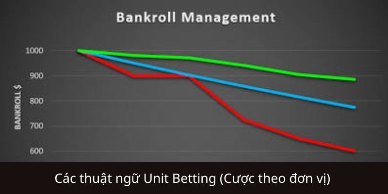 Các thuật ngữ quan trọng trong Unit Betting