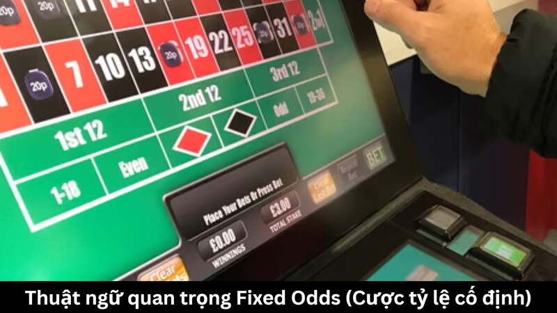 Thuật ngữ quan trọng trong Fixed Odds (Cược tỷ lệ cố định)