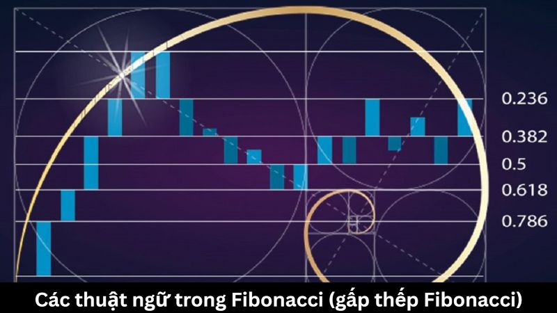 Các thuật ngữ trong Fibonacci (gấp thếp Fibonacci)